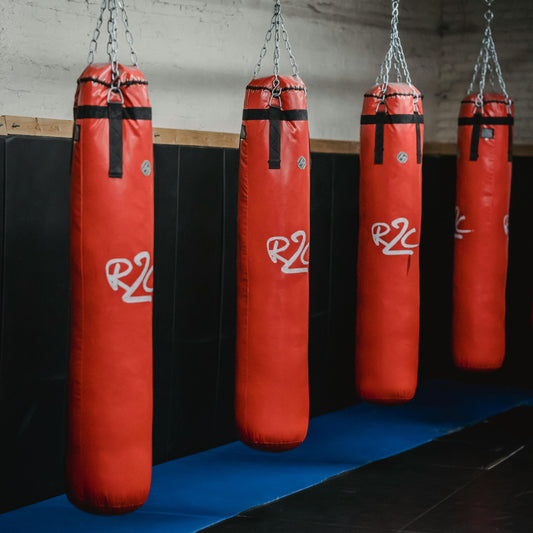 (EVERLAST) Boxing Punching Bag