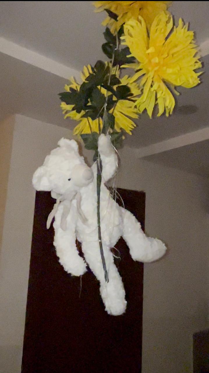 TwinLight Luxy Haven | Gulberg Heights Apartment | Islamabad Apartment