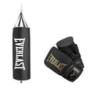(EVERLAST) Boxing Punching Bag