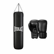 (EVERLAST) Boxing Punching Bag
